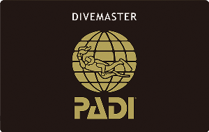 【インストラクターが語る】なぜPADIなのか？〜他団体との比較から見える優位性〜