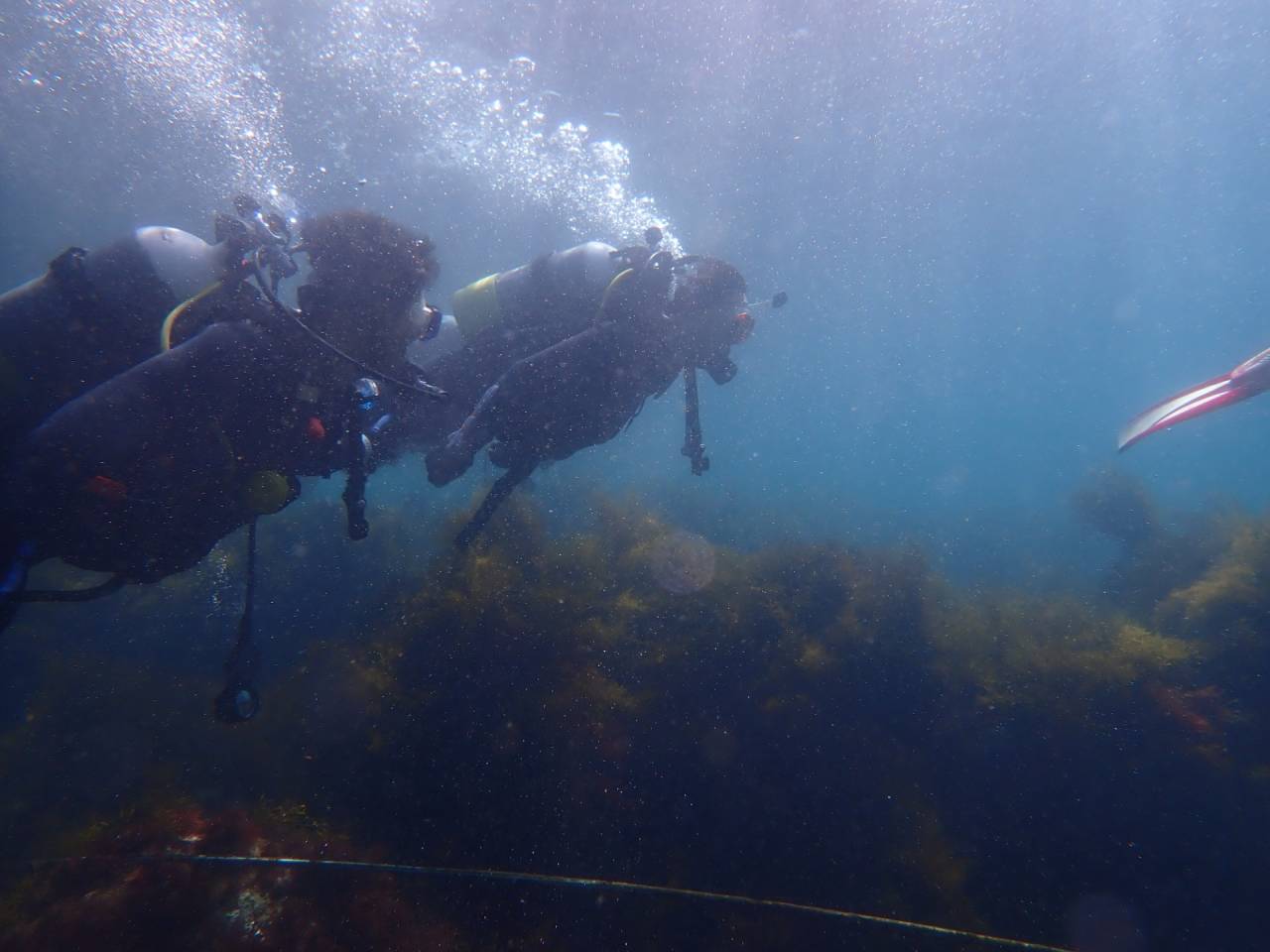 ダイビングで「はぐれた」と思ったら最初にする行動