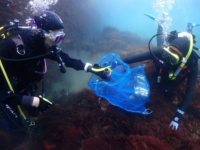 明日は海中清掃DAY！ダイバーが拾う海のゴミとは？