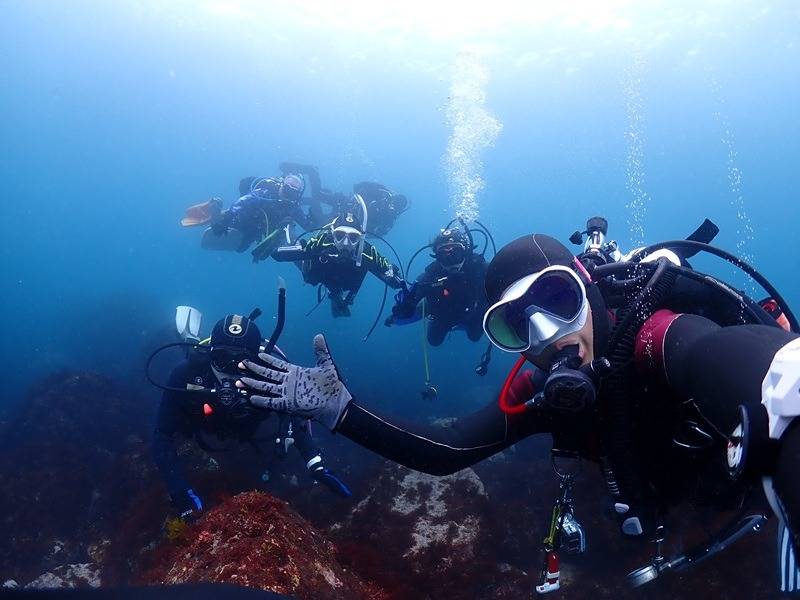 ライセンスおめでとう！