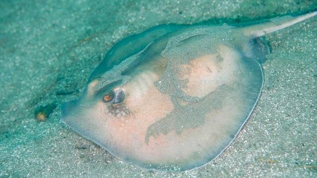 久しぶりの港ダイブと藤三へ｜穏やか海と新しい景色
