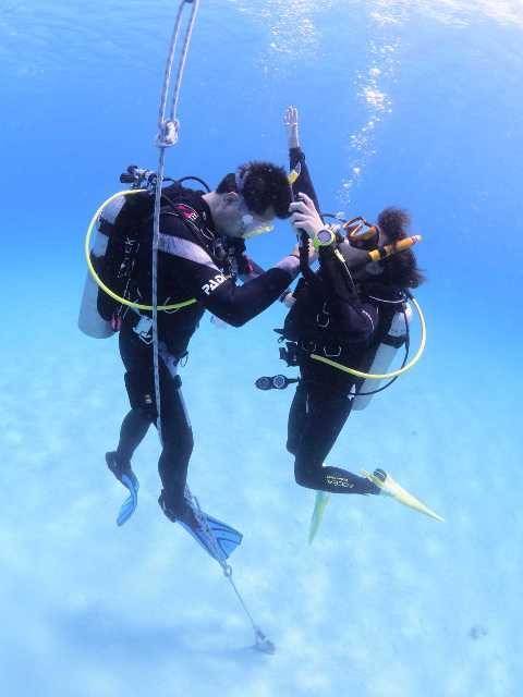 教える側も学ぶ側も要チェック！CESAは唯一イラスト付きの“超重要スキル”だった！