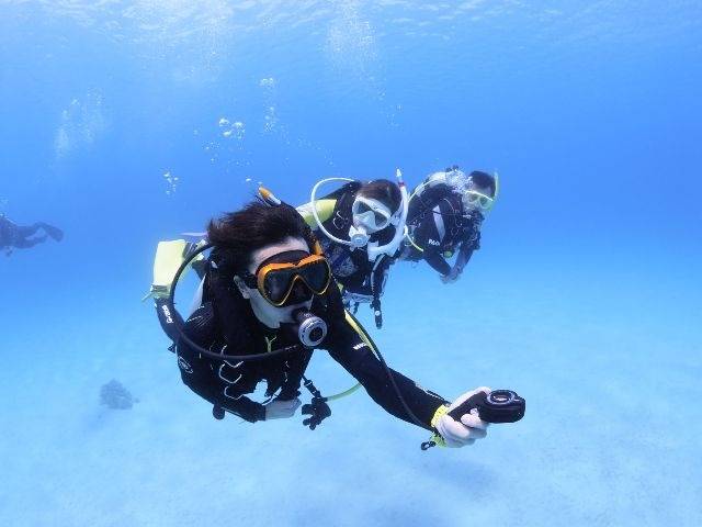 伊豆でダイビングライセンスを取得する初心者講習の様子