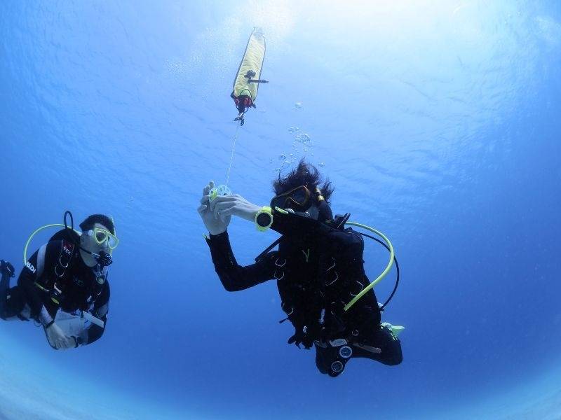 ステップアップコース