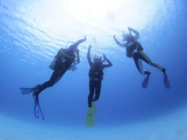 女性インストラクターが伊豆の海でダイビング講習をサポート