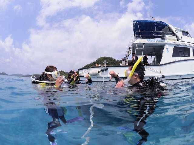 伊豆のダイビングスクールでのダイビングツアーの様子