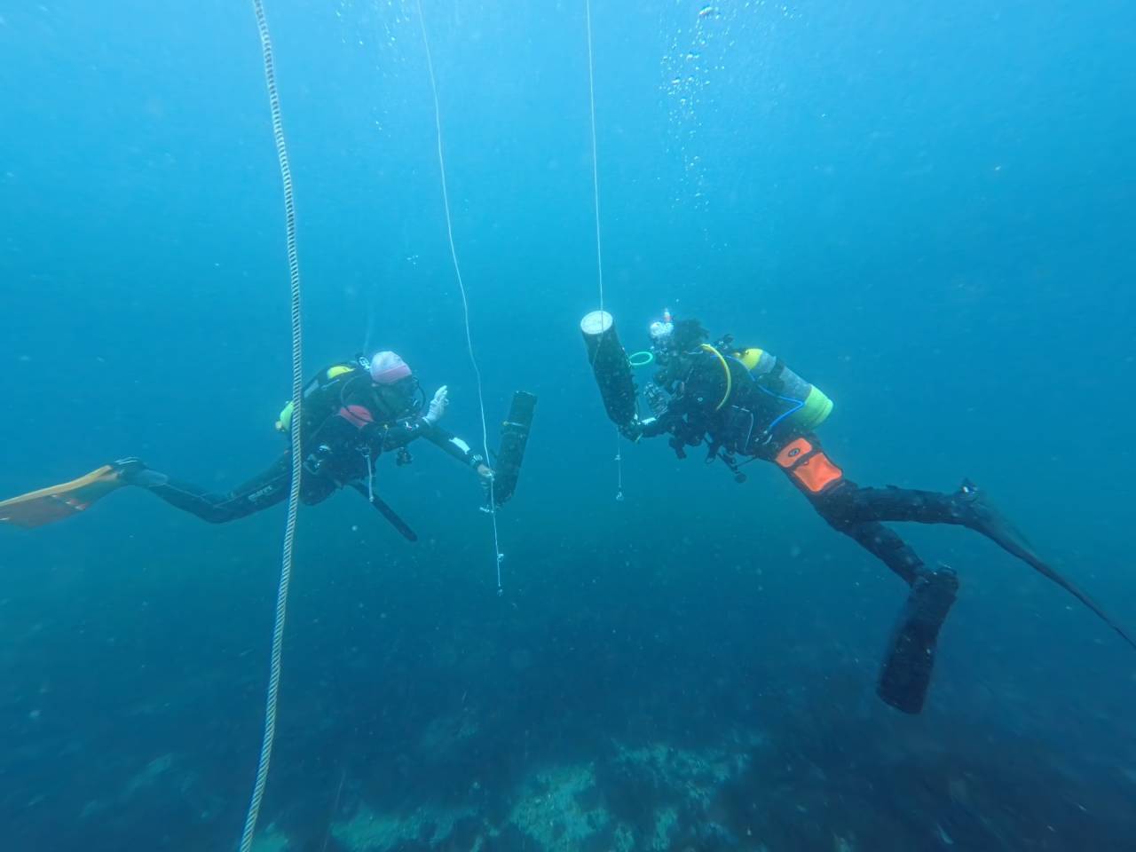 アドバンスド・エンリッチ講習DAY！