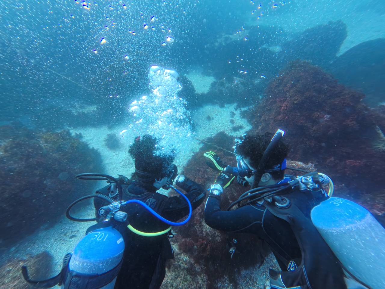 アドバンス講習「ナビゲーション」！ドライスーツ×流れの中でレベルアップ