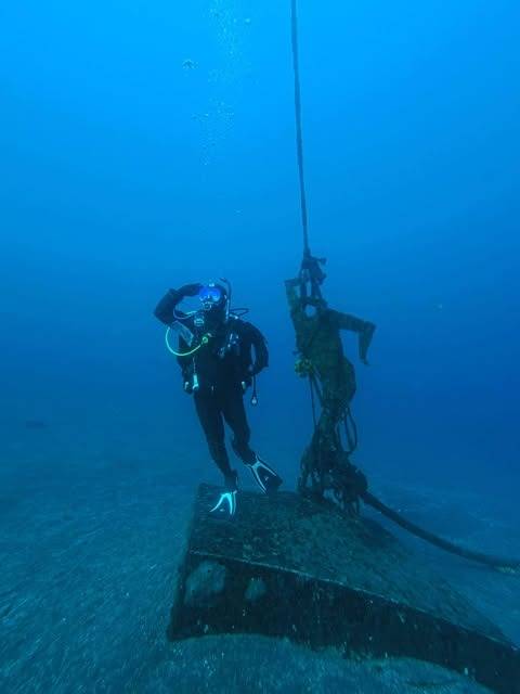 スタッフ研修で大瀬崎へ！穏やかな海でじっくり下見ダイブ