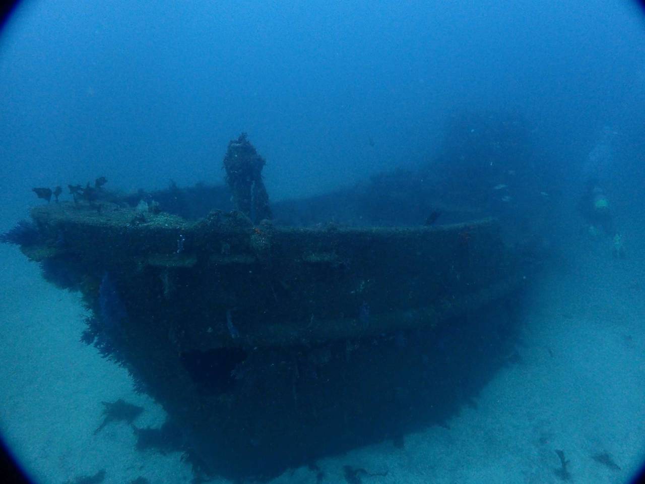 レック・DM・ファンまで！フル編成で潜った一日