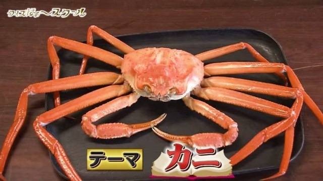 出川哲朗のクイズ ほぉ〜スクール