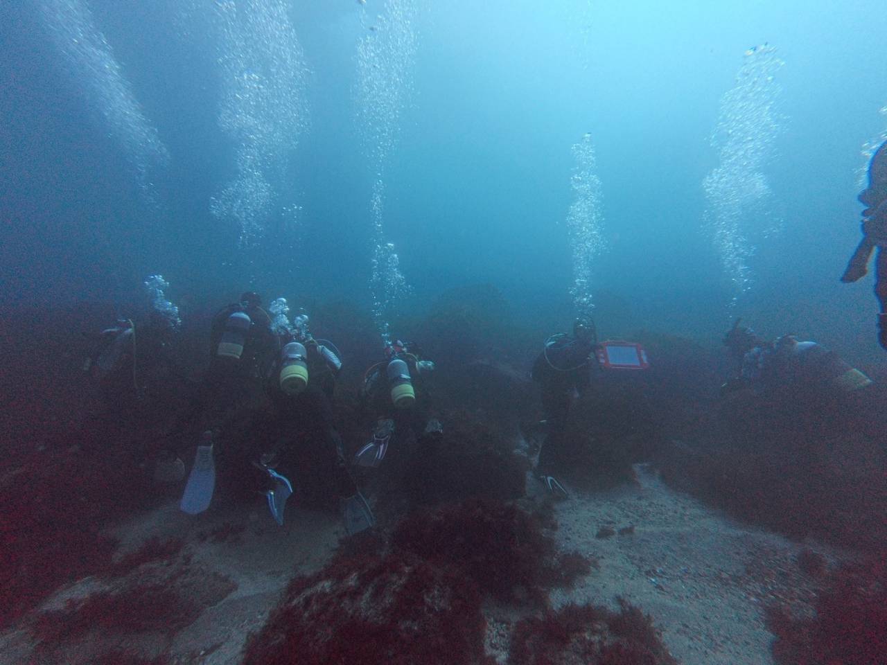 本年もありがとうございました！大晦日は3本潜って年越しへ
