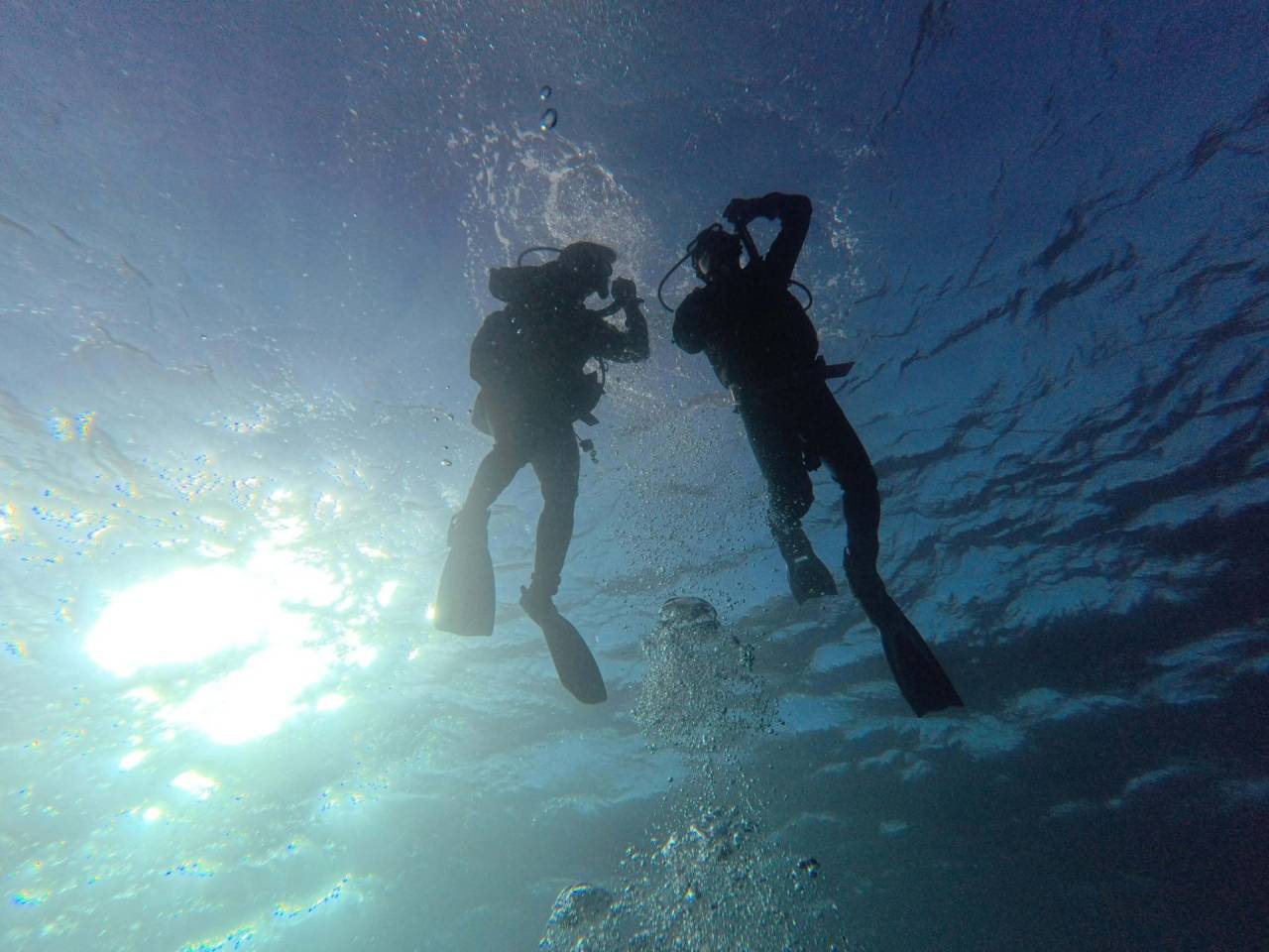 風にも負けず！港でOWD講習・海で3ダイブ頑張りました
