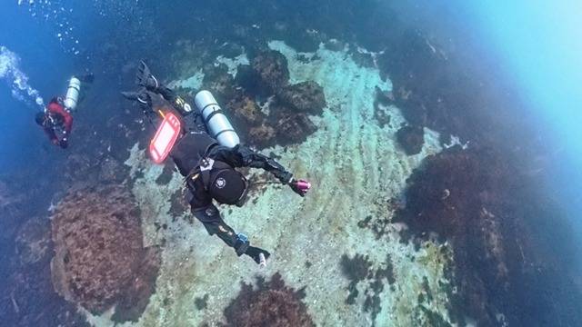 産業遺産「藤三」で至福のダイブ！ネコザメと出会い、サイドマウントも楽しみました