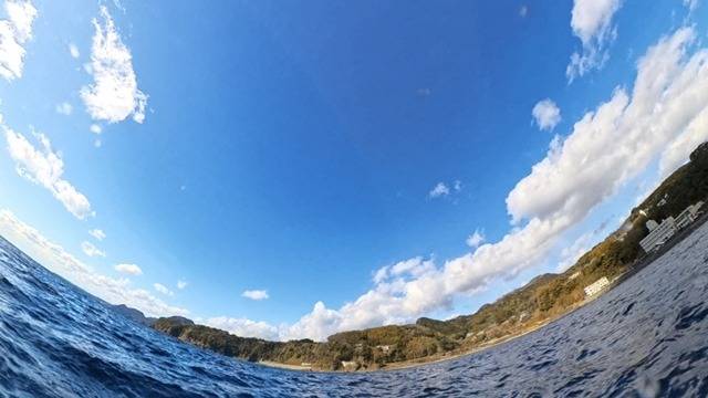 冬の伊豆の海でネコザメに出会ったダイビング