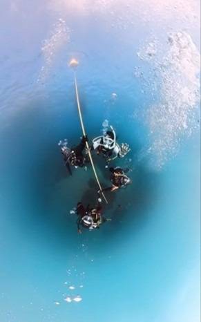 東伊豆ボートダイビングツアー開催｜大量のウミウシとソフトコーラルの海