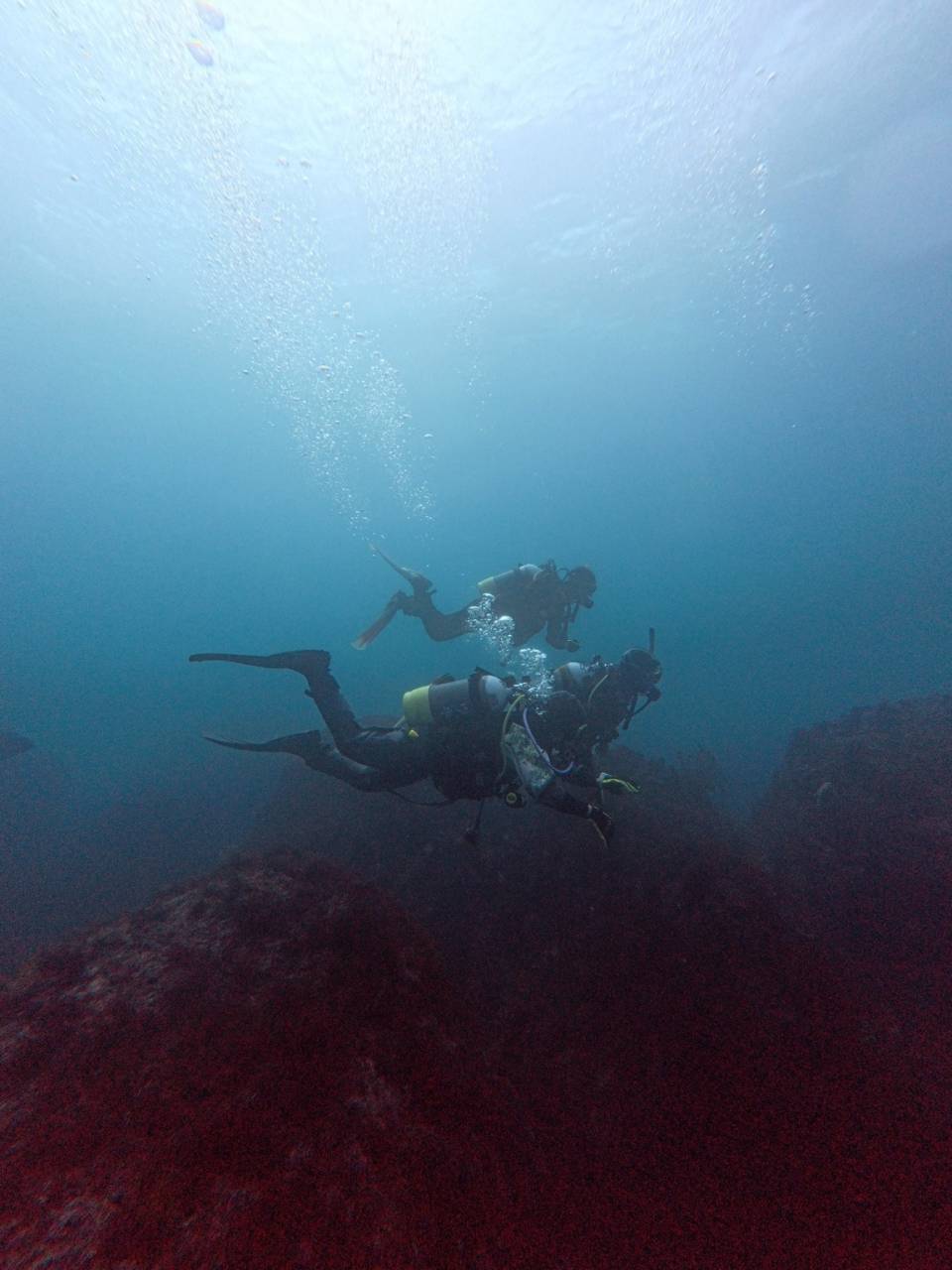 田子でアドバンス講習｜南西強風でも湾内で快適ダイブ！