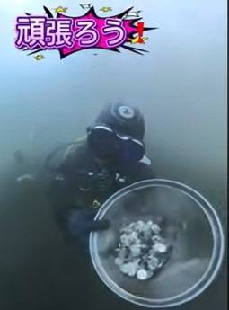世界遺産・忍野八海の水中環境保全活動に参加しました