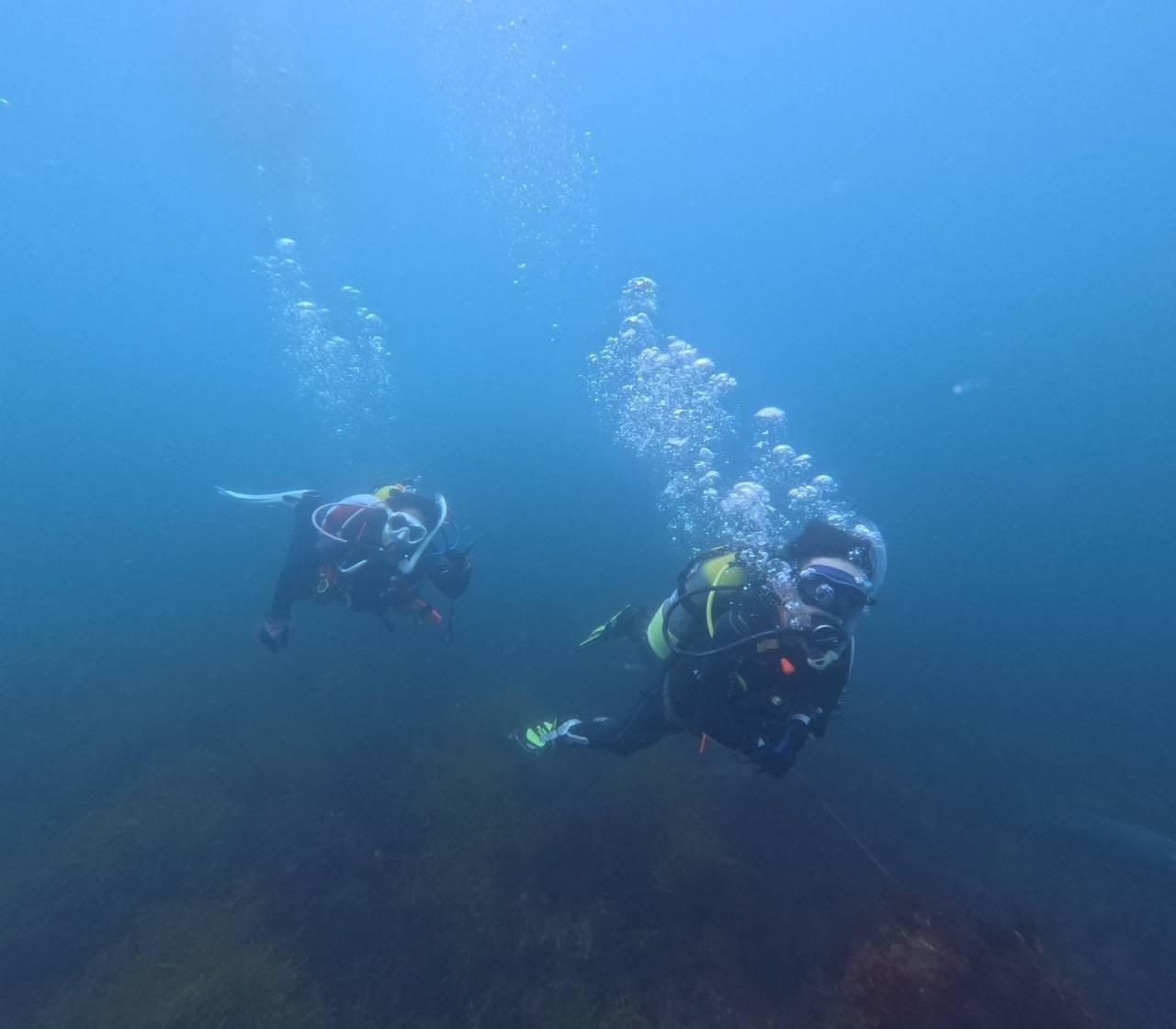 オープンウォーターダイバーが体験した“浮遊感”の魅力