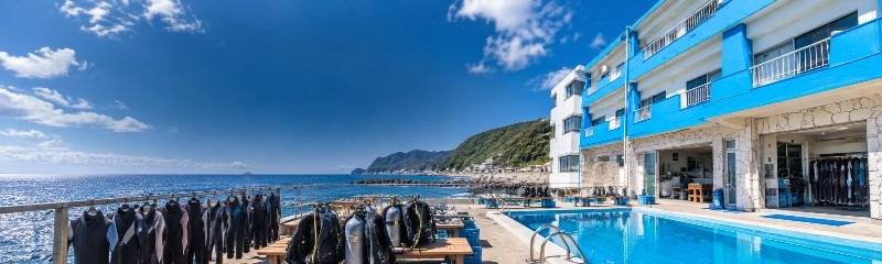 稲取マリンスポーツセンターの施設全景。海に面した建物と屋外温水ダイビングプール