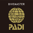 🟦ダイブマスターコースの参加条件とカリキュラムの全体像