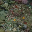 今日も海は大荒れです。。