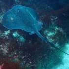 HP復旧しました！この2日間の海まとめ