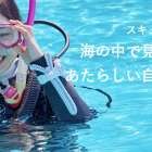 PADI ライセンス