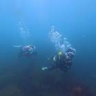 オープンウォーターダイバーが体験した“浮遊感”の魅力